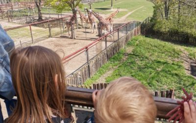 Výlet do zoo Olomouc, Svatý Kopeček